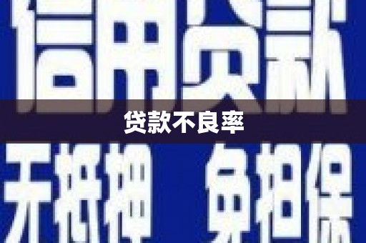 鲤城贷款不良率