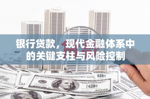鲤城银行贷款，现代金融体系中的关键支柱与风险控制
