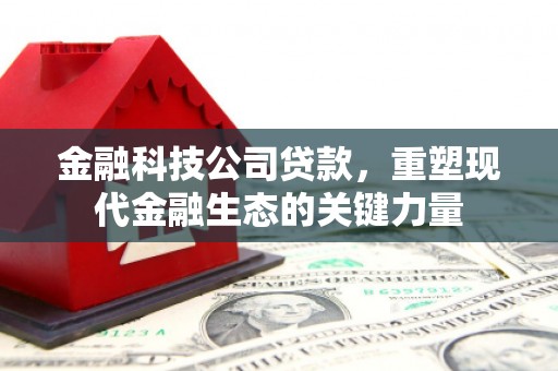 鲤城金融科技公司贷款，重塑现代金融生态的关键力量