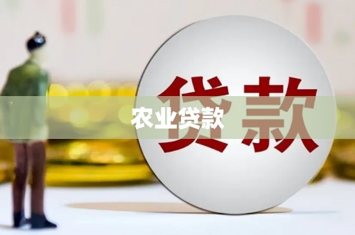 鲤城农业贷款
