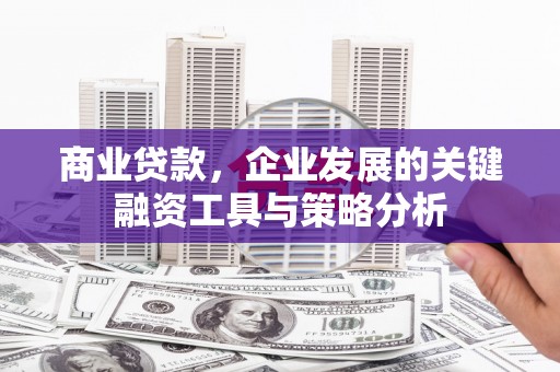 鲤城商业贷款，企业发展的关键融资工具与策略分析
