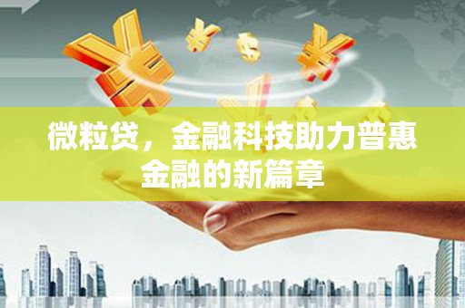 鲤城微粒贷，金融科技助力普惠金融的新篇章