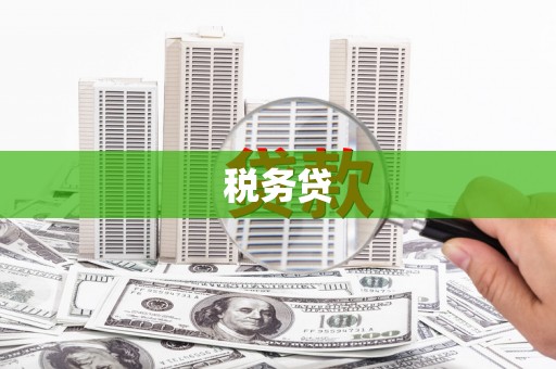 鲤城税务贷
