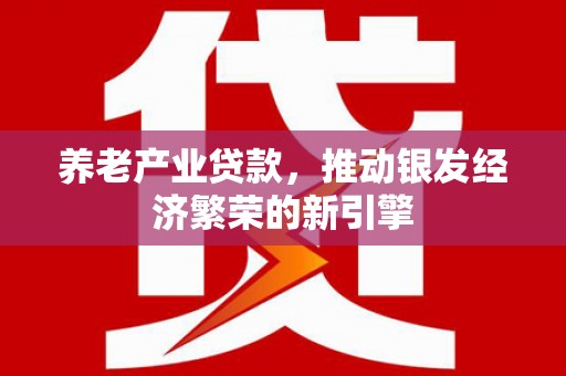 鲤城养老产业贷款，推动银发经济繁荣的新引擎