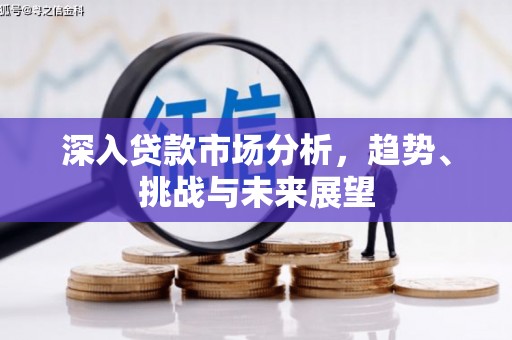 鲤城深入贷款市场分析，趋势、挑战与未来展望