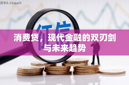 鲤城消费贷，现代金融的双刃剑与未来趋势