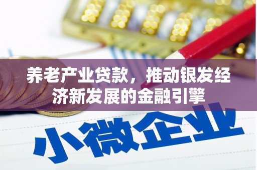 鲤城养老产业贷款，推动银发经济新发展的金融引擎