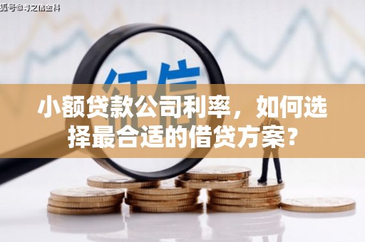 鲤城小额贷款公司利率，如何选择最合适的借贷方案？