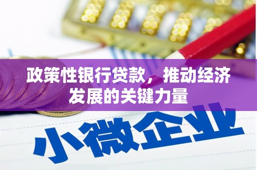 鲤城政策性银行贷款，推动经济发展的关键力量