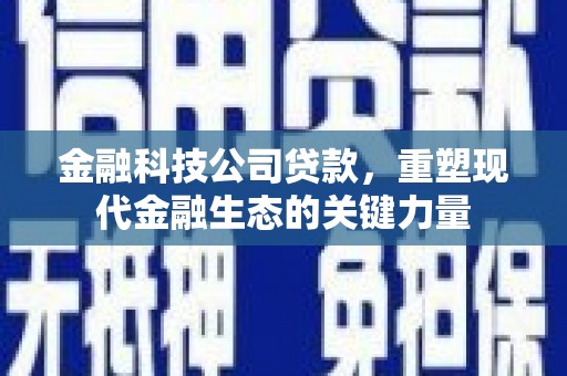 鲤城金融科技公司贷款，重塑现代金融生态的关键力量