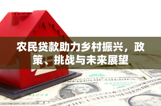 鲤城农民贷款助力乡村振兴，政策、挑战与未来展望