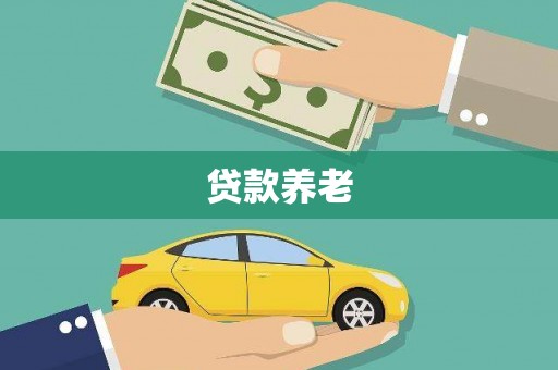 鲤城贷款养老