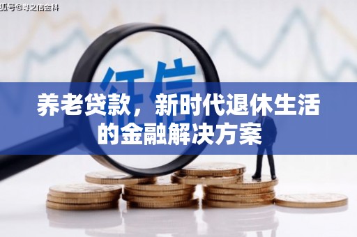 鲤城养老贷款，新时代退休生活的金融解决方案