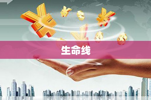 鲤城生命线