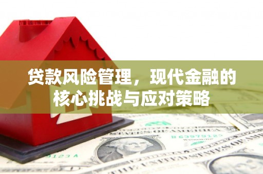 鲤城贷款风险管理，现代金融的核心挑战与应对策略