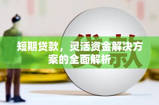 鲤城短期贷款，灵活资金解决方案的全面解析