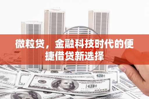 鲤城微粒贷，金融科技时代的便捷借贷新选择