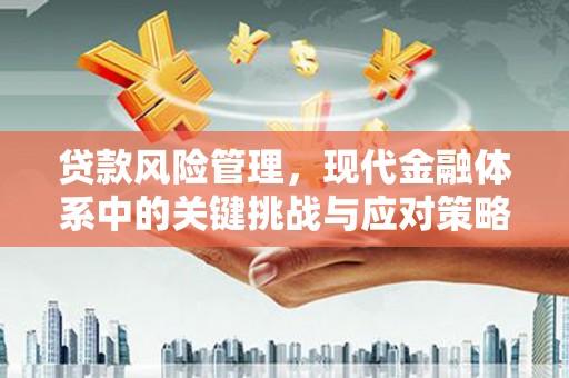鲤城贷款风险管理，现代金融体系中的关键挑战与应对策略