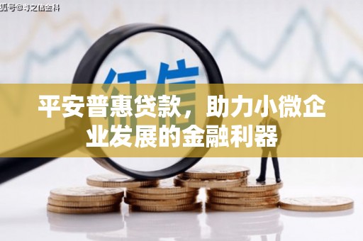 鲤城平安普惠贷款，助力小微企业发展的金融利器