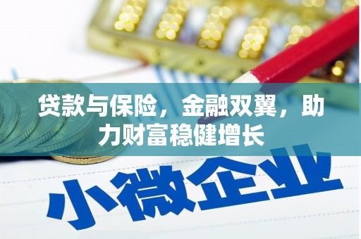 鲤城贷款与保险，金融双翼，助力财富稳健增长