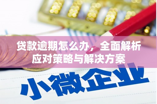 鲤城贷款逾期怎么办，全面解析应对策略与解决方案